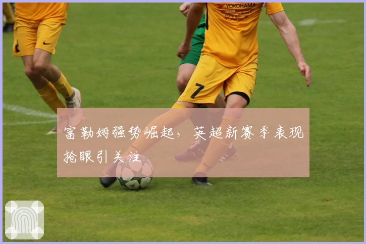 富勒姆强势崛起，英超新赛季表现抢眼引关注