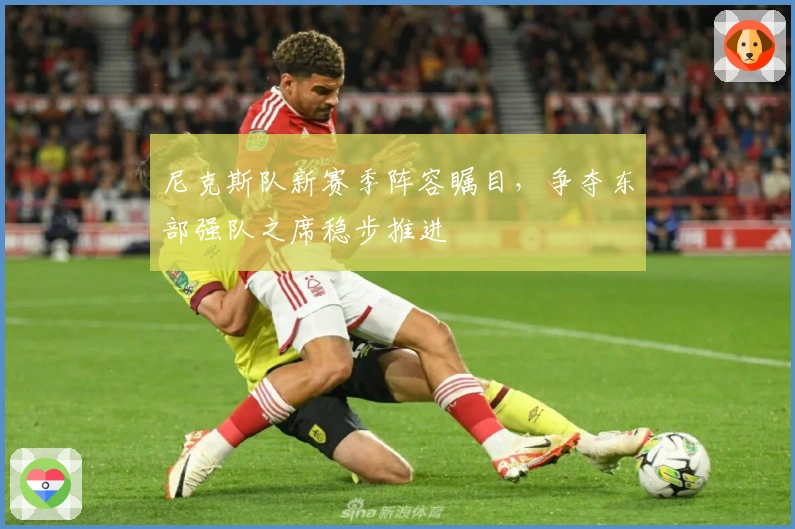 尼克斯队新赛季阵容瞩目，争夺东部强队之席稳步推进