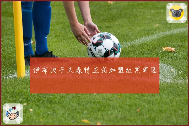 伊布次子文森特正式加盟红黑军团